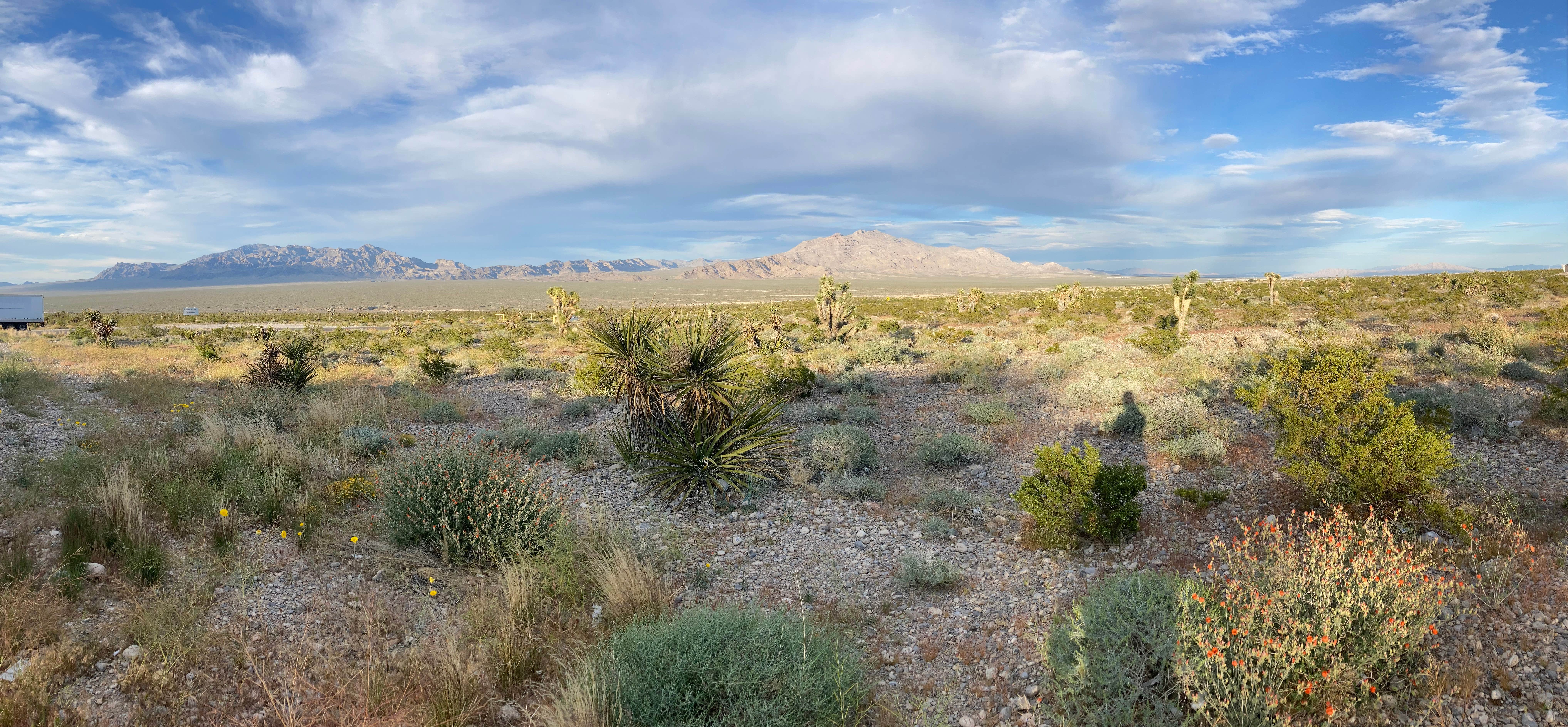 Camper submitted image from Bonnie Clair Lakebed - 2