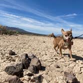 Review photo of Bonnie Clair Lakebed by Julianne N., April 19, 2024