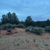 Review photo of Seaman Wash Road Dispersed - Kanab BLM by Anaïs C., June 2, 2025