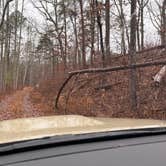 Review photo of Boondock Dispersed Camping Alabama by Ethan B., February 19, 2026