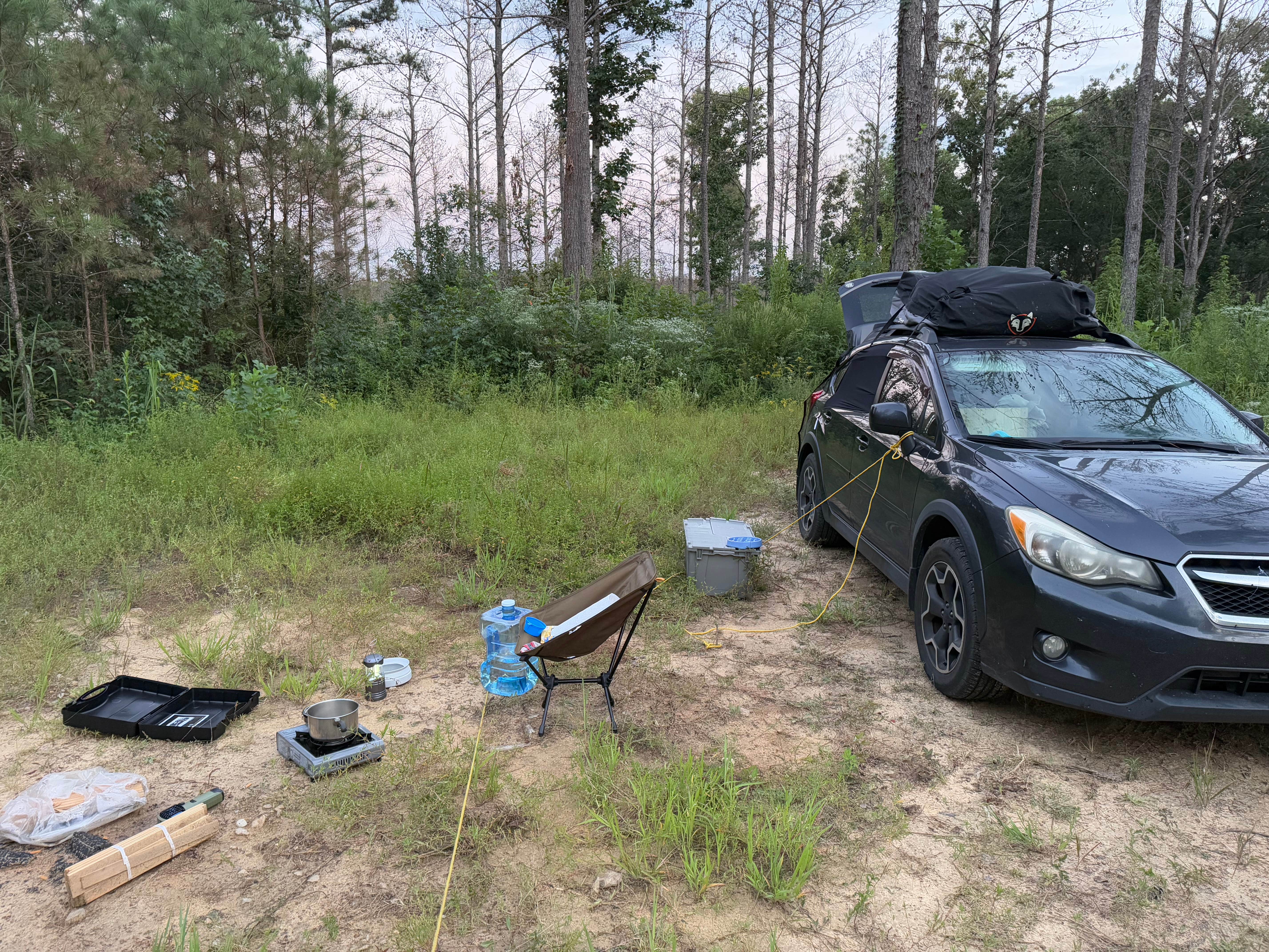 Rae W.'s photo at Boondock Dispersed Camping Alabama near Rogersville, AL