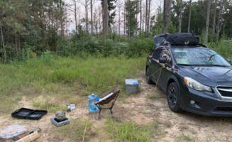 Rae W.'s photo at Boondock Dispersed Camping Alabama near Addison, AL