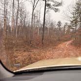 Review photo of Boondock Dispersed Camping Alabama by Ethan B., February 19, 2026