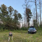 Review photo of Boondock Dispersed Camping Alabama by Rae W., September 5, 2025