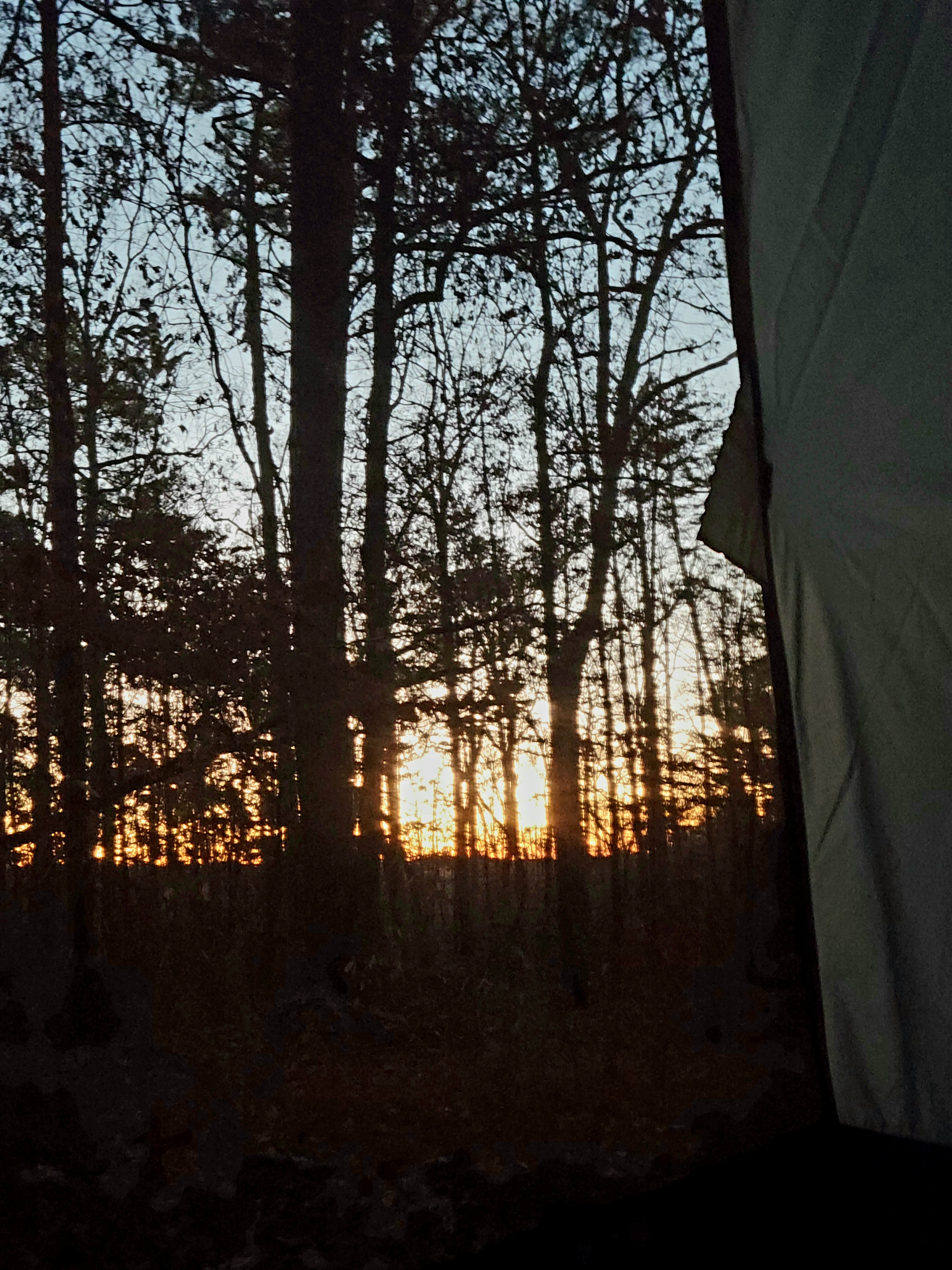 Camper-submitted photo at Boondock Dispersed Camping Alabama near Danville, AL