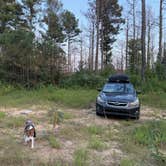 Review photo of Boondock Dispersed Camping Alabama by Rae W., September 5, 2025