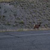 Review photo of Boondocking Hwy 89 Yellowstone River, Gardiner by Magnus M., July 25, 2024