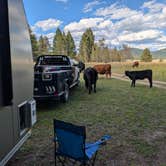 Review photo of Bootjack Dispersed Camping by Tom J., September 13, 2026