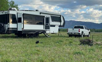 michelle S.'s photo of camping with pets at Bootjack Dispersed Camping near West Yellowstone, MT