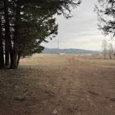 Review photo of Bootjack - Dispersed Camping by Gary , March 30, 2026
