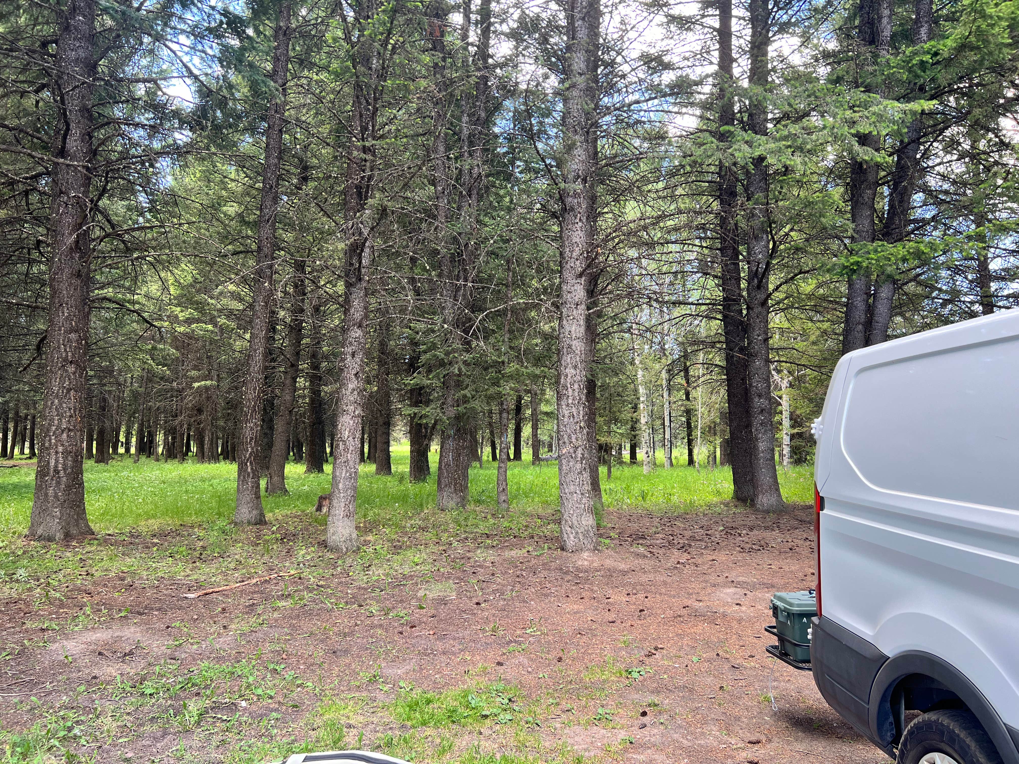 Camper-submitted photo at Bootjack - Dispersed Camping near Island Park, ID