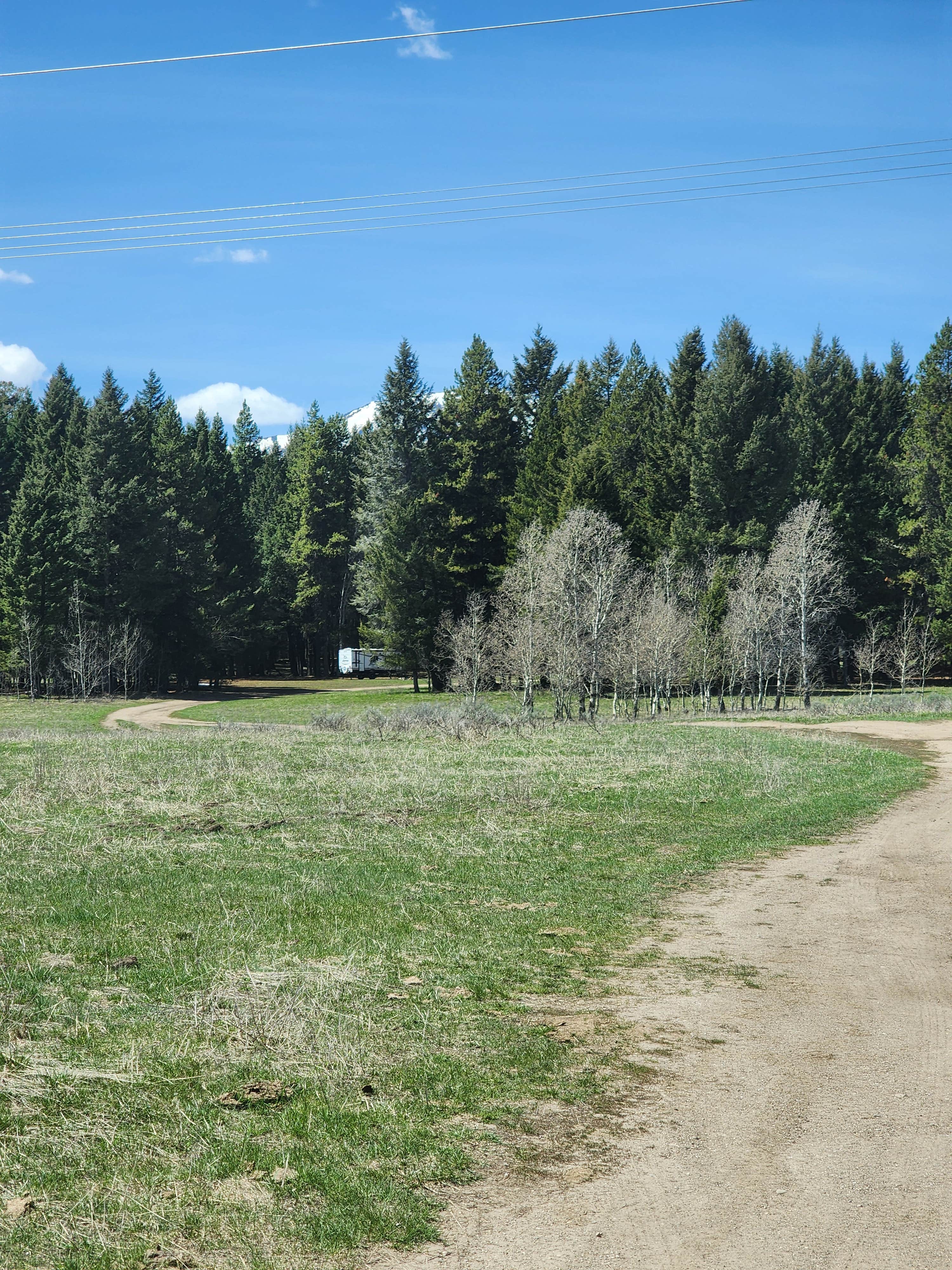 Camper-submitted photo at Bootjack - Dispersed Camping near Island Park, ID