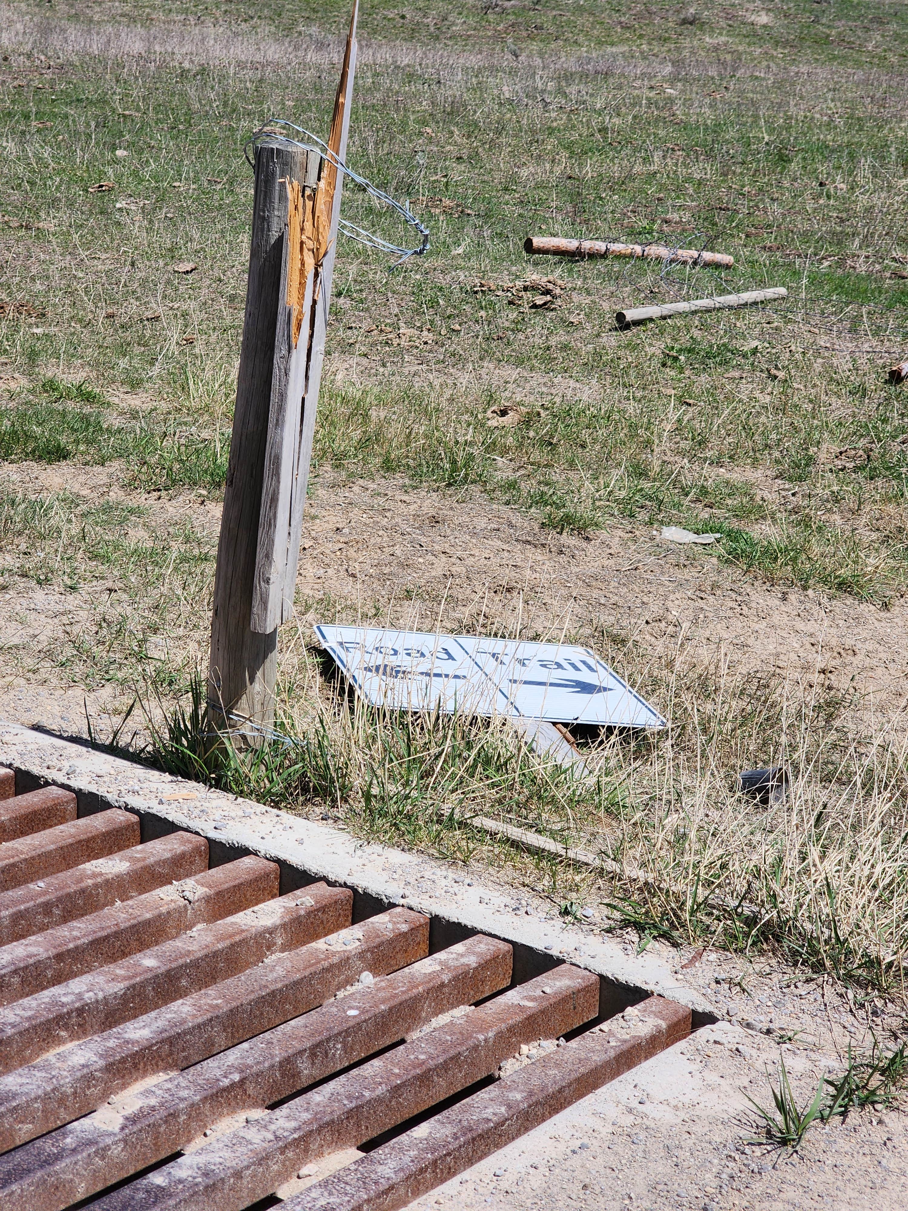 Camper submitted image from Bootjack - Dispersed Camping - 3