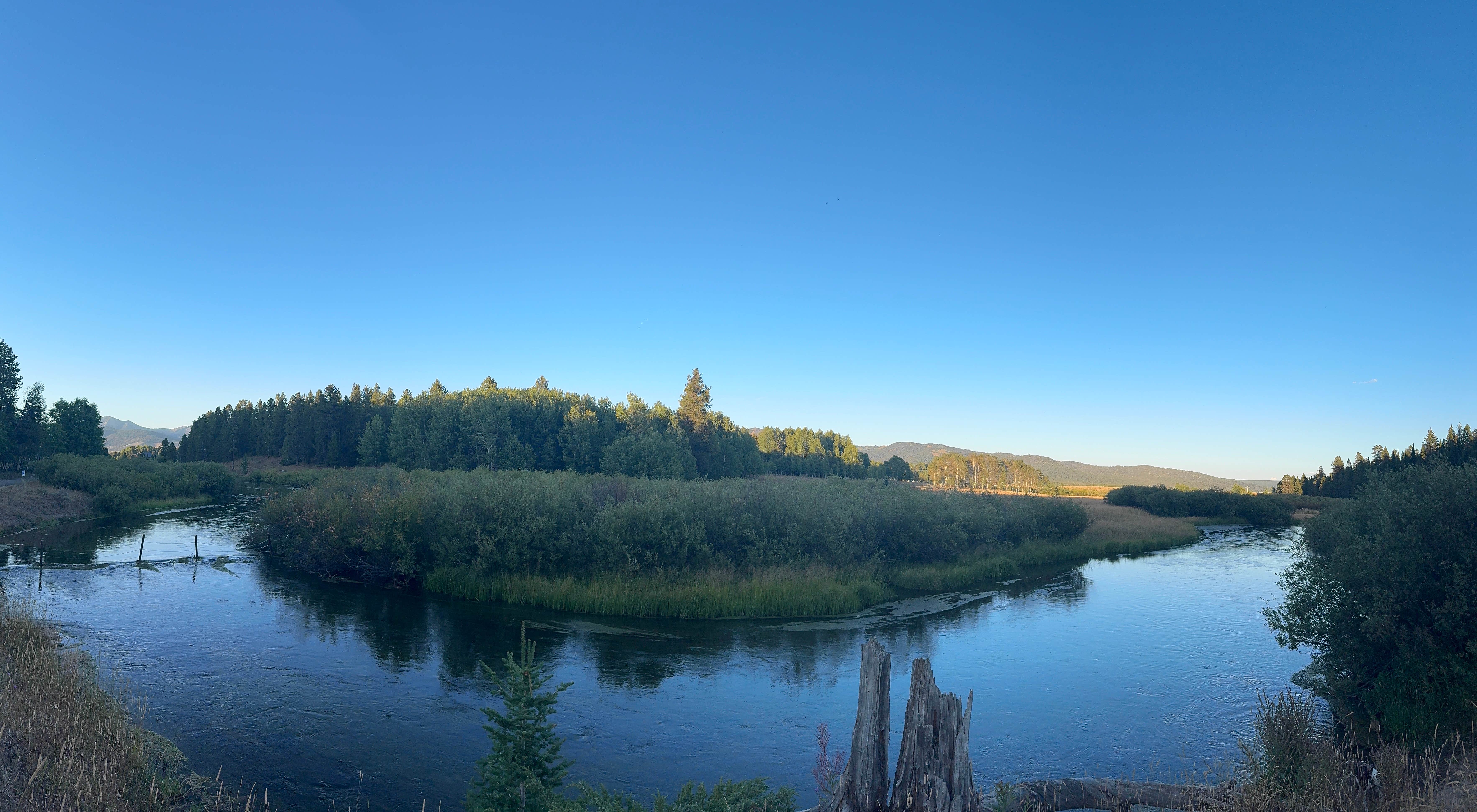 TheFoxphire F.'s photo of a dispersed camping area at Bootjack - Dispersed Camping near Island Park, ID