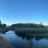 Review photo of Bootjack - Dispersed Camping by TheFoxphire F., August 26, 2025