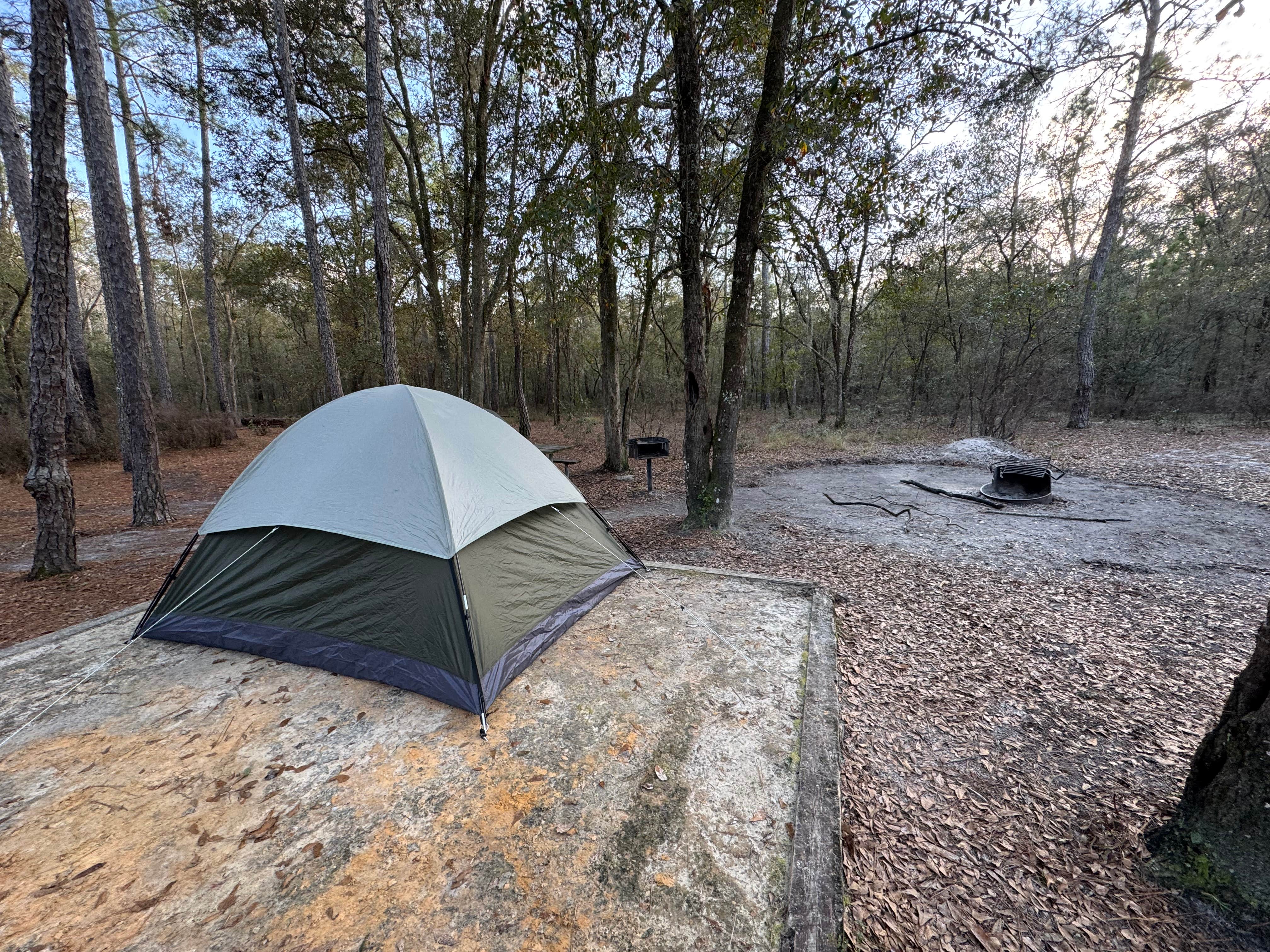 Camper submitted image from Bootleggers Campground — Jennings State Forest - 1