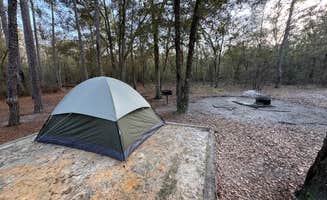 Mason B.'s photo of tent camping at Bootleggers Campground — Jennings State Forest near Folkston, GA