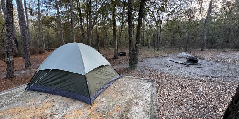 Camper submitted image from Bootleggers Campground — Jennings State Forest
