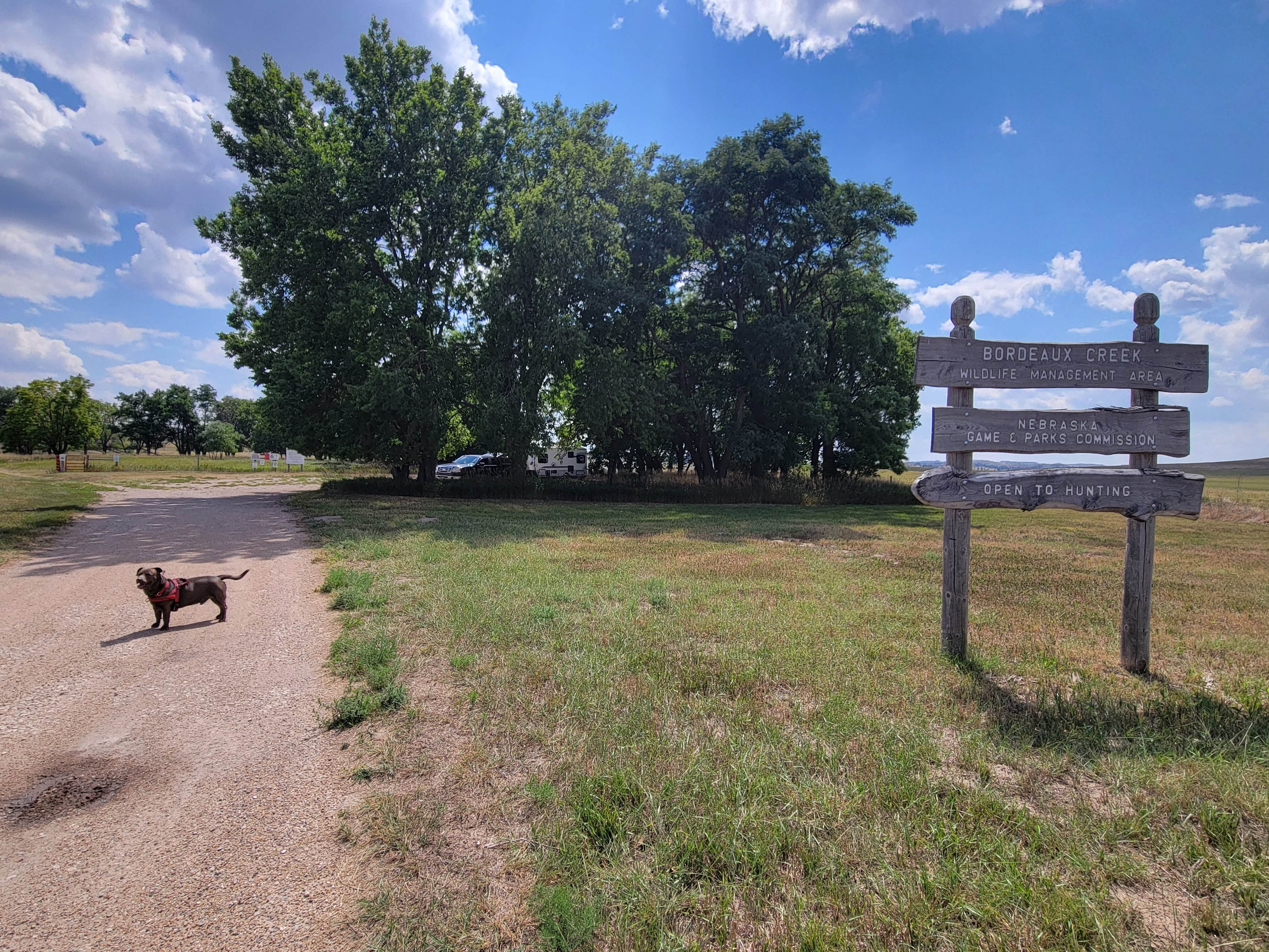 Camper-submitted photo at Bordeaux Wildlife Management Area near Alliance, NE