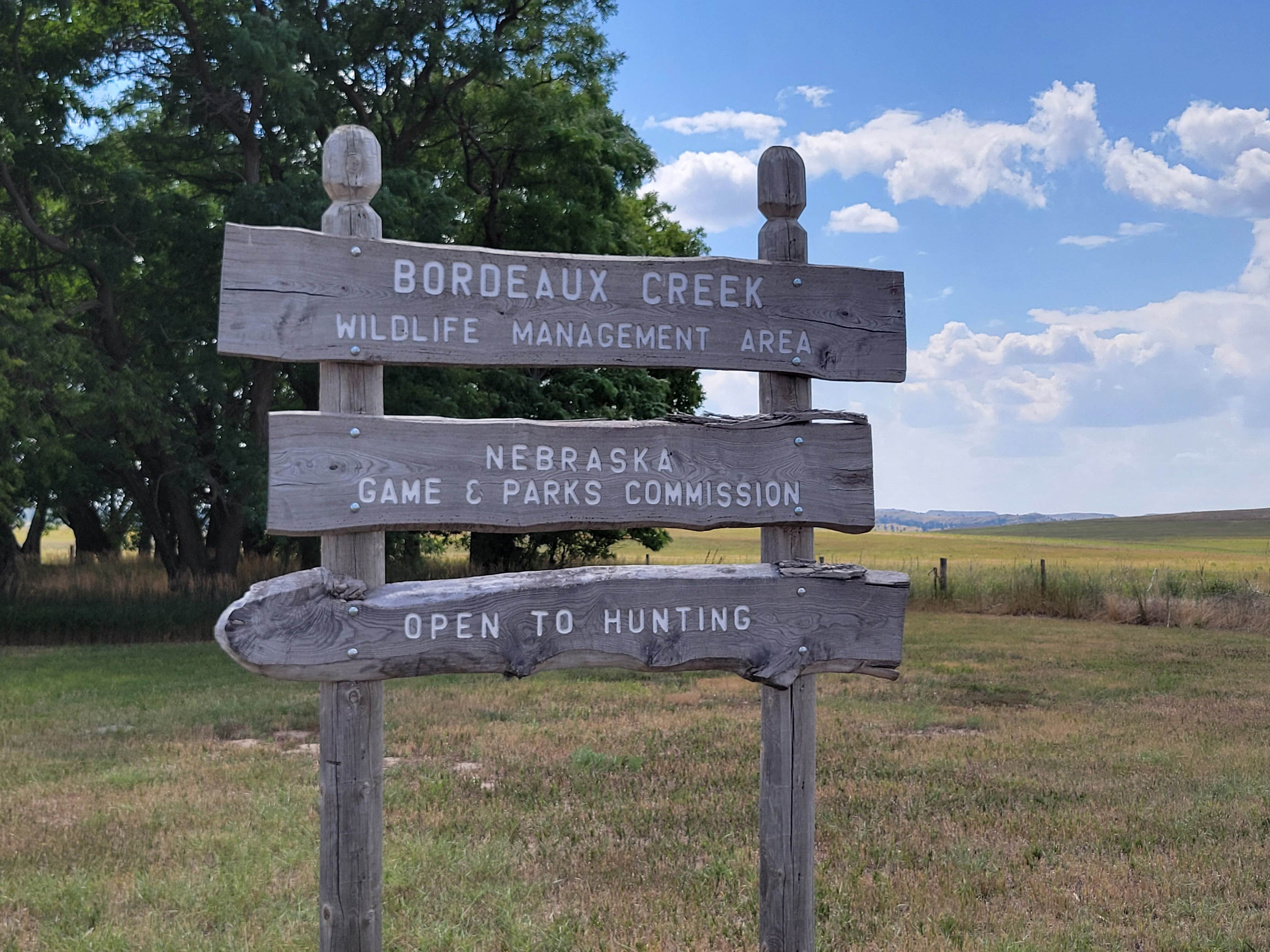 Travis A.'s photo of a dispersed camping area at Bordeaux Wildlife Management Area in Nebraska