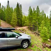 Review photo of Boreas Pass Dispersed site 10 by Tarryn T., June 3, 2025