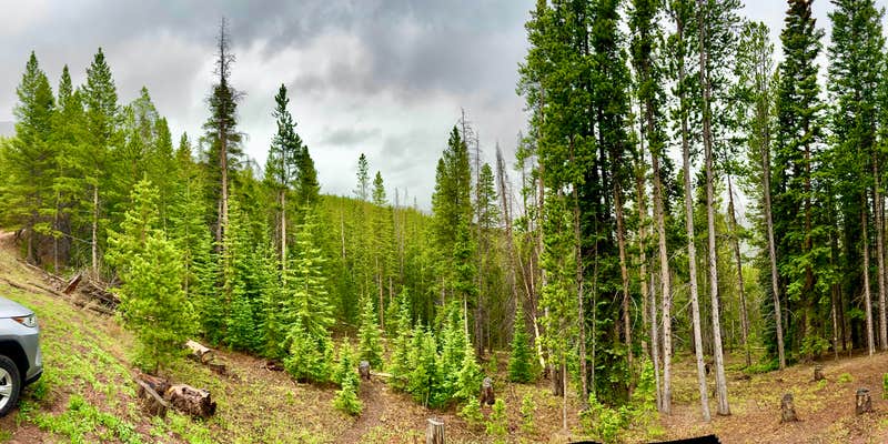 Camper submitted image from Boreas Pass Dispersed site 10