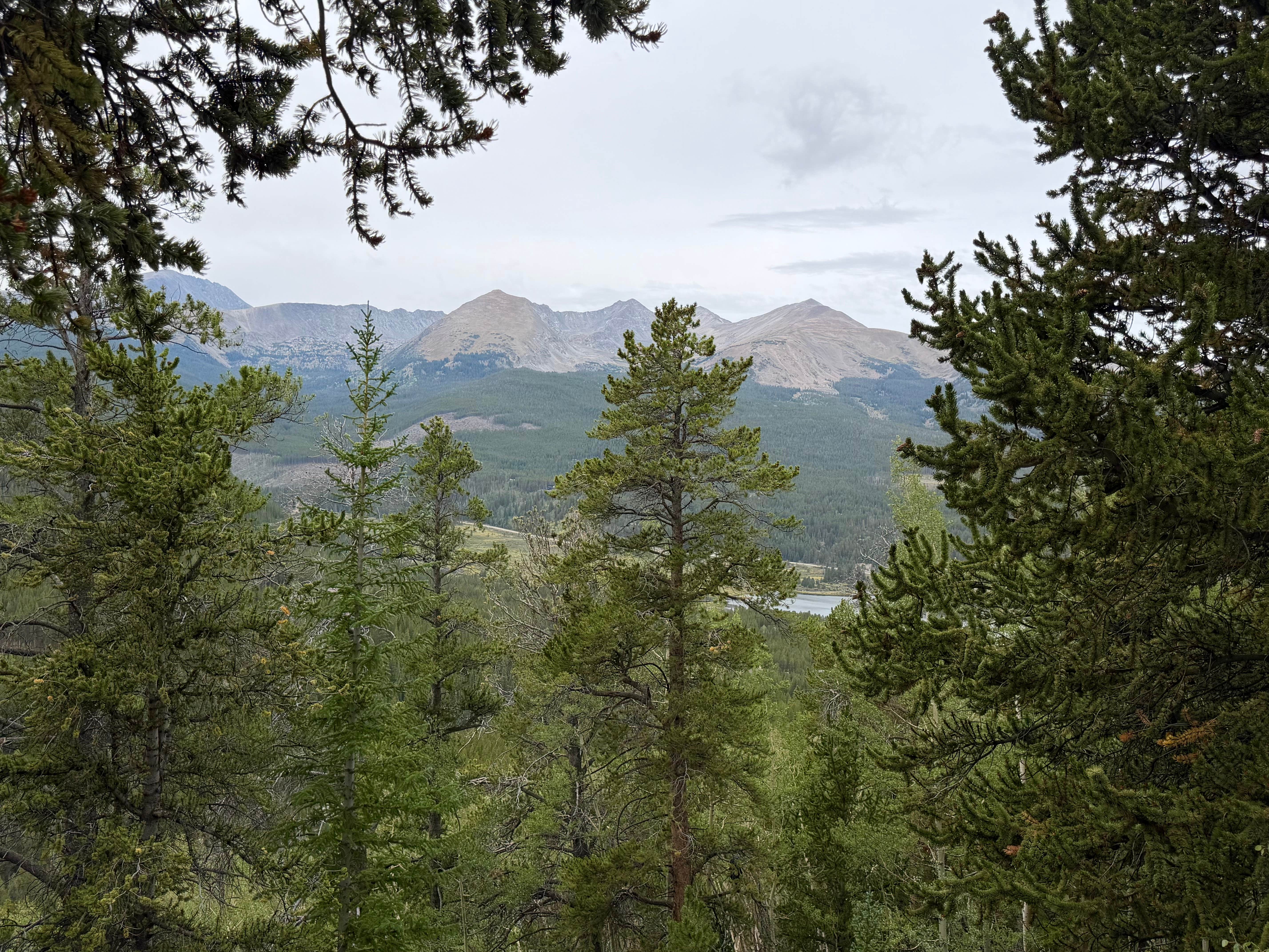 Camper-submitted photo at Boreas Pass site 21 near Como, CO