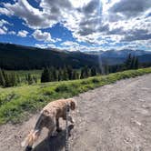 Review photo of Boreas Pass Road Designated Dispersed Camping by Cassandra C., July 8, 2024