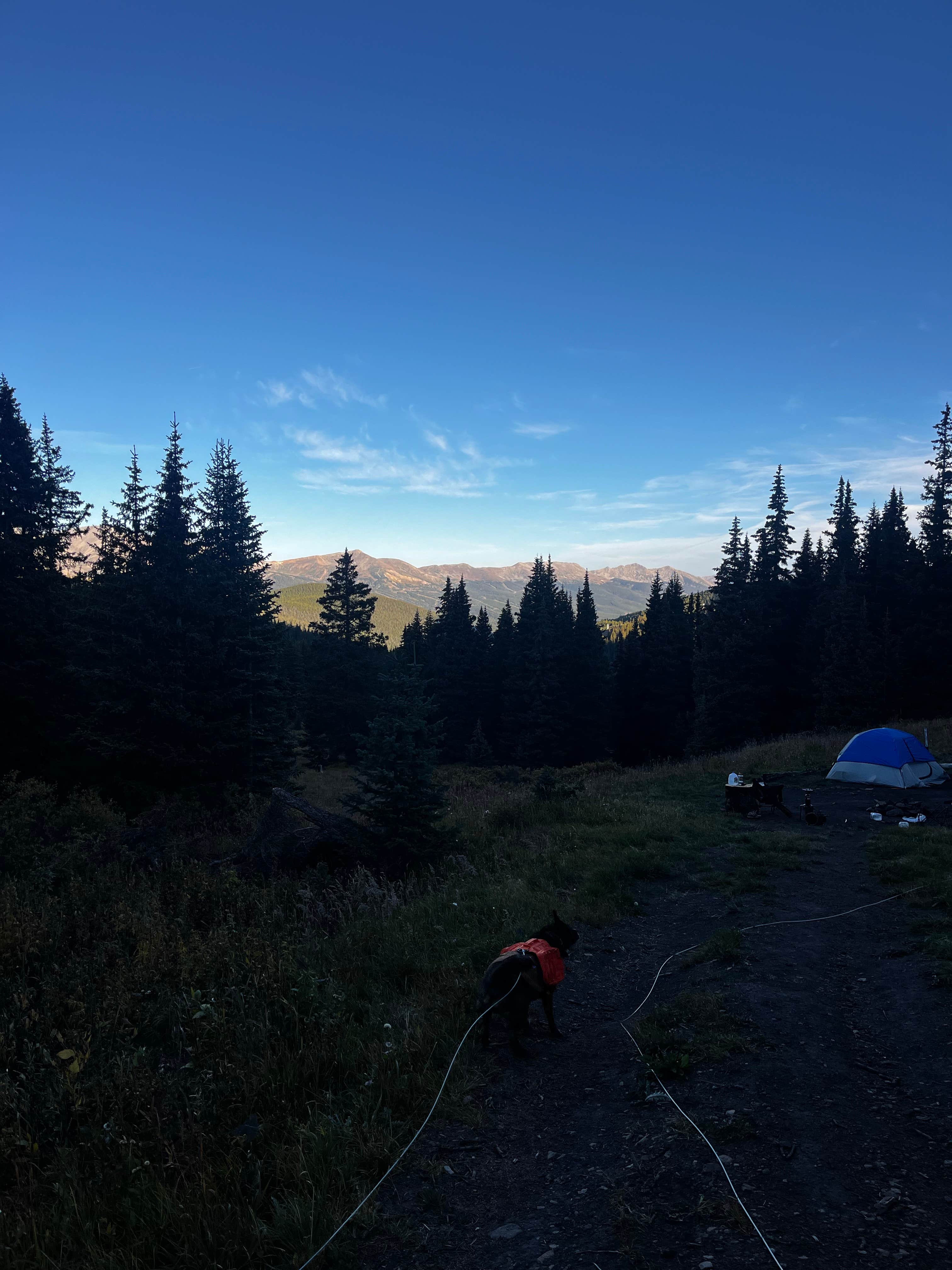 Kaydi R.'s photo of camping with pets at Boreas Pass Road Designated Dispersed Camping near Climax, CO