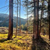Review photo of Boreas Pass Road Designated Dispersed Camping by Monica V., October 11, 2023