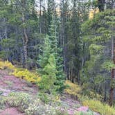 Review photo of Boreas Pass Road Designated Dispersed Camping by Tarryn T., September 21, 2024