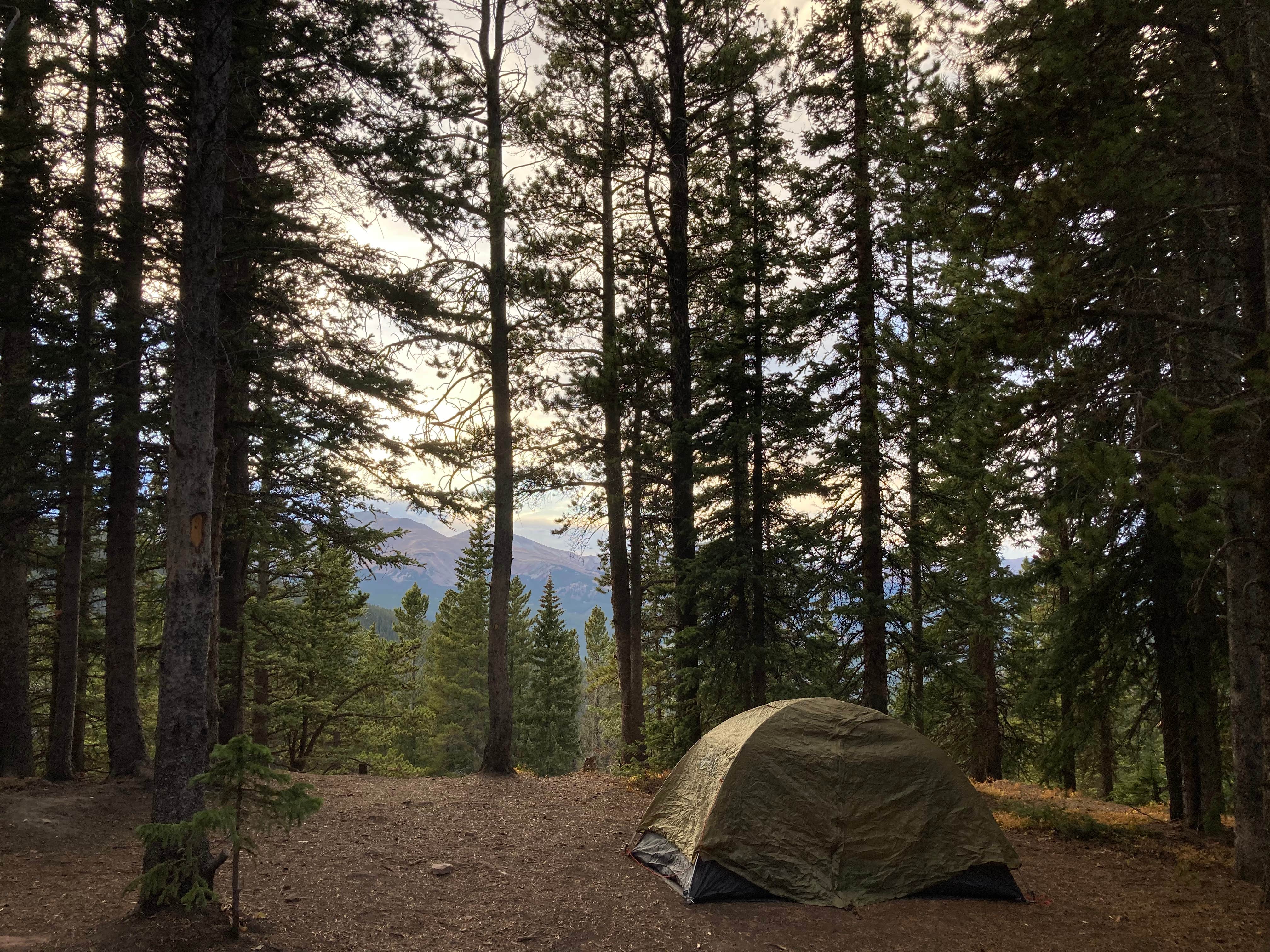 elizabeth M.'s photo of tent camping at Boreas Pass Road Designated Dispersed Camping near Minturn, CO