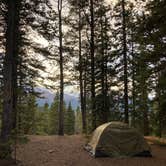 Review photo of Boreas Pass Road Designated Dispersed Camping by elizabeth M., October 14, 2024