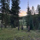 Review photo of Boreas Pass Road Designated Dispersed Camping by Mike W., August 23, 2025