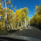 Review photo of Boreas Pass Road Designated Dispersed Camping by Kaydi R., September 16, 2024