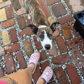 Review photo of Born Again Camping/Antiques by Marin S., May 27, 2026
