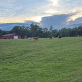 Review photo of Born Again Camping/Antiques by Marin S., May 27, 2026