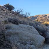 Review photo of Borrego Springs by Abe C., March 22, 2025