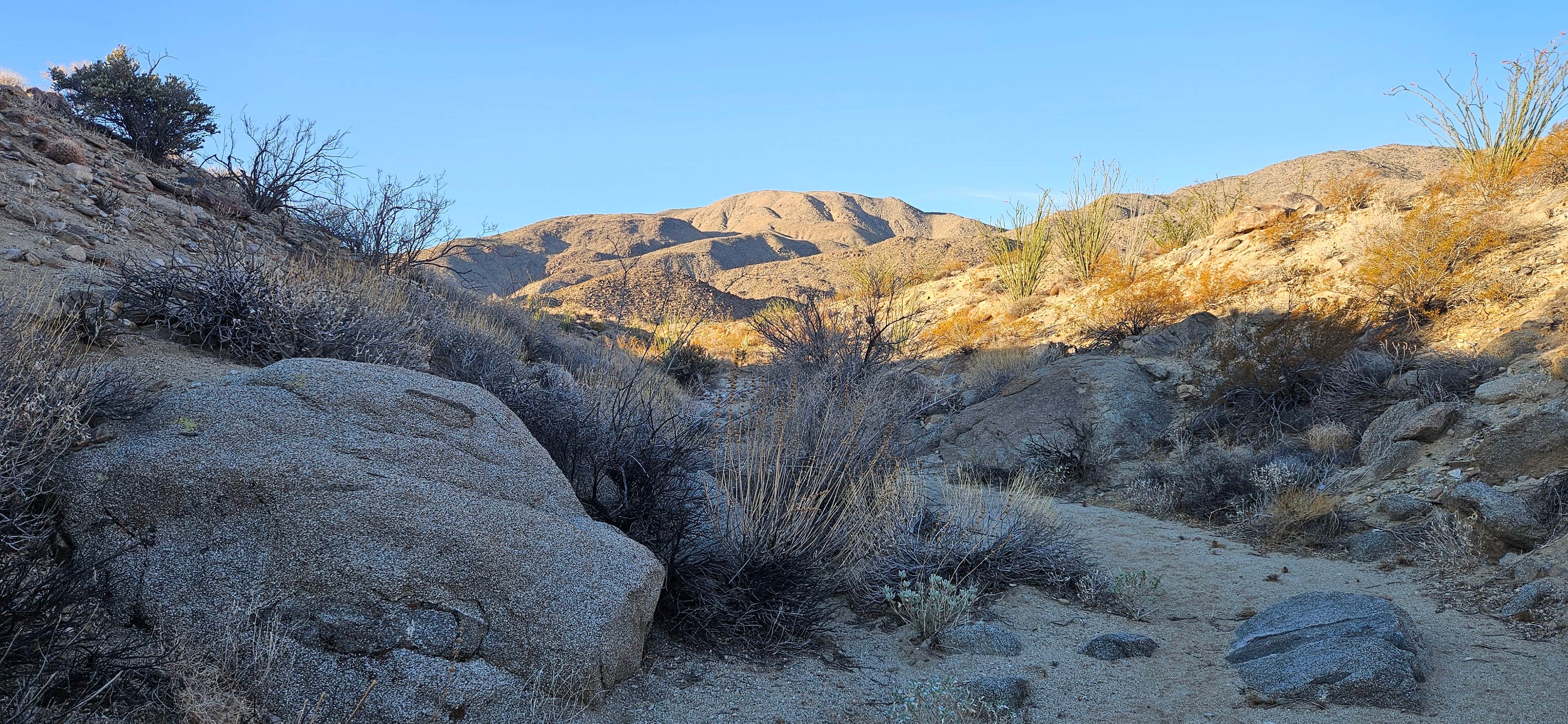 Camper submitted image from Borrego Springs - 3