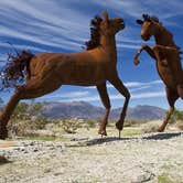 Review photo of Borrego Springs by Abe C., March 22, 2025