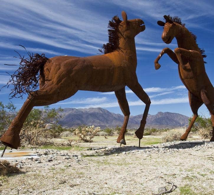 Camper submitted image from Borrego Springs - 4