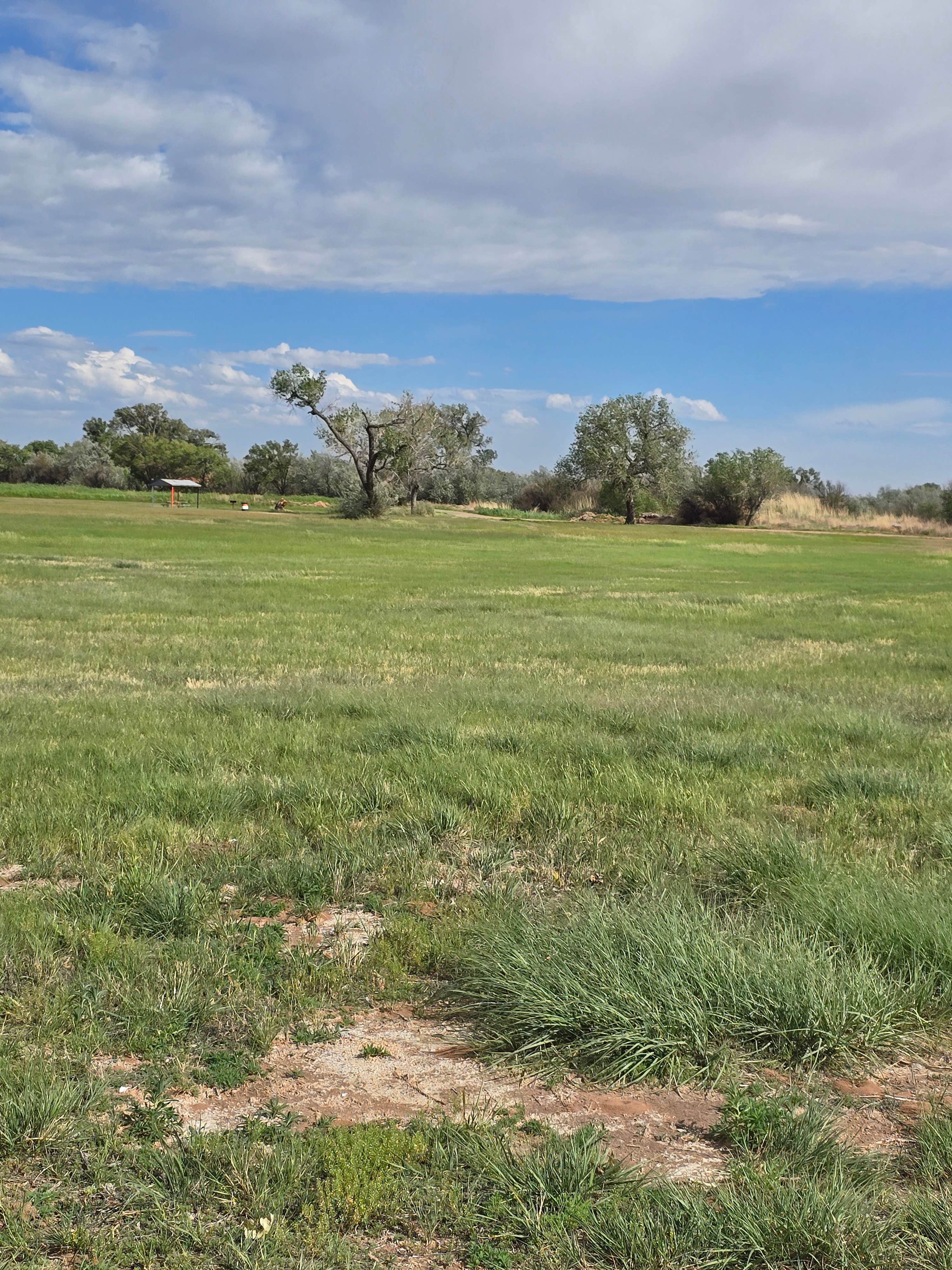 Camper-submitted photo at Bosque Redondo Park near Fort Sumner, NM