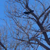 Review photo of Bosque Redondo Park by Dwayne R., April 3, 2026