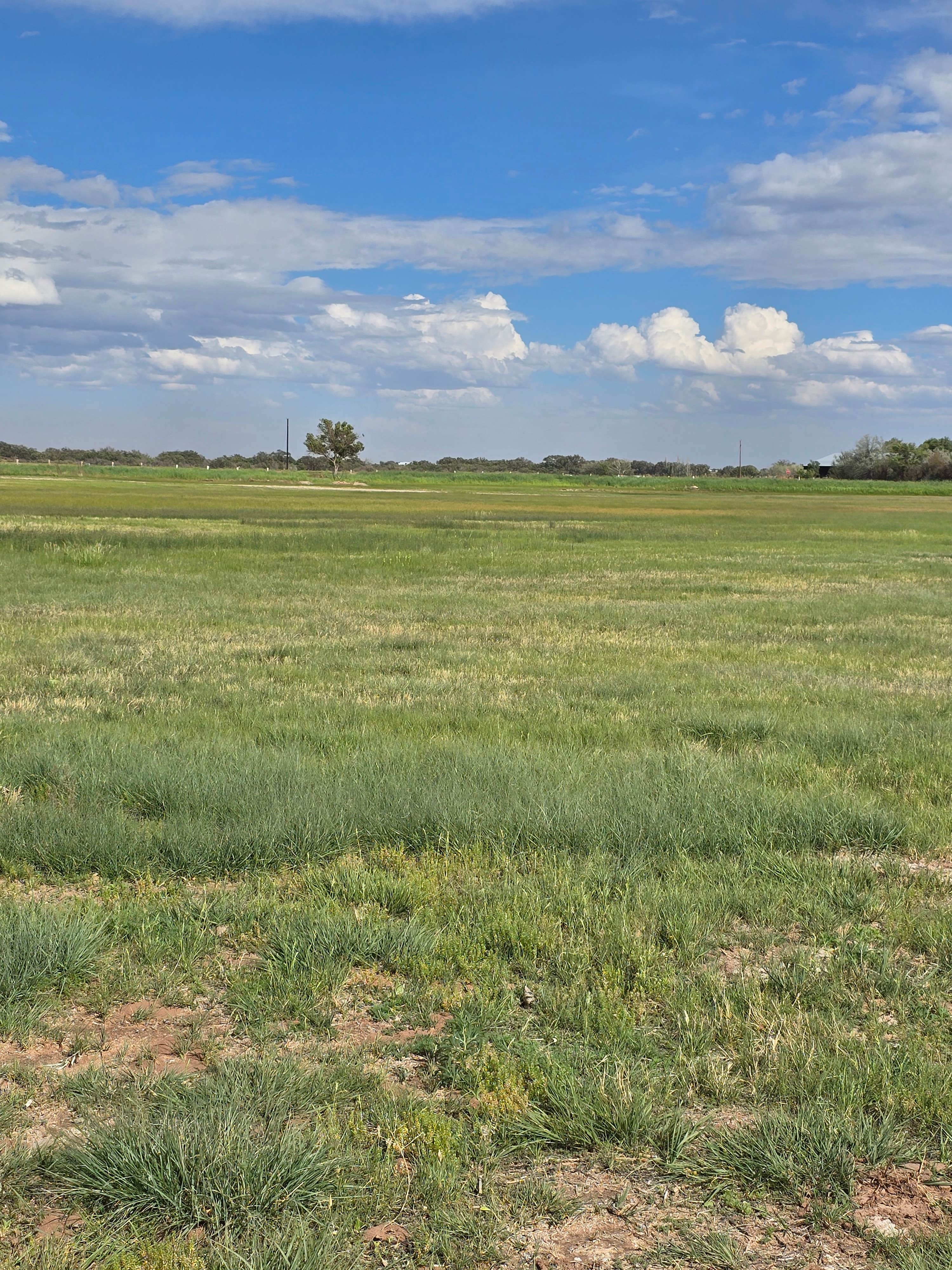Camping near Fort Sumner lake: Bosque Redondo Park, Fort Sumner, New Mexico