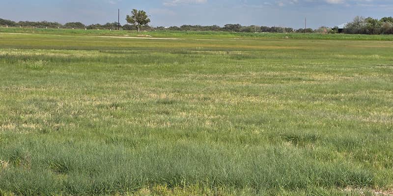Camper submitted image from Bosque Redondo Park