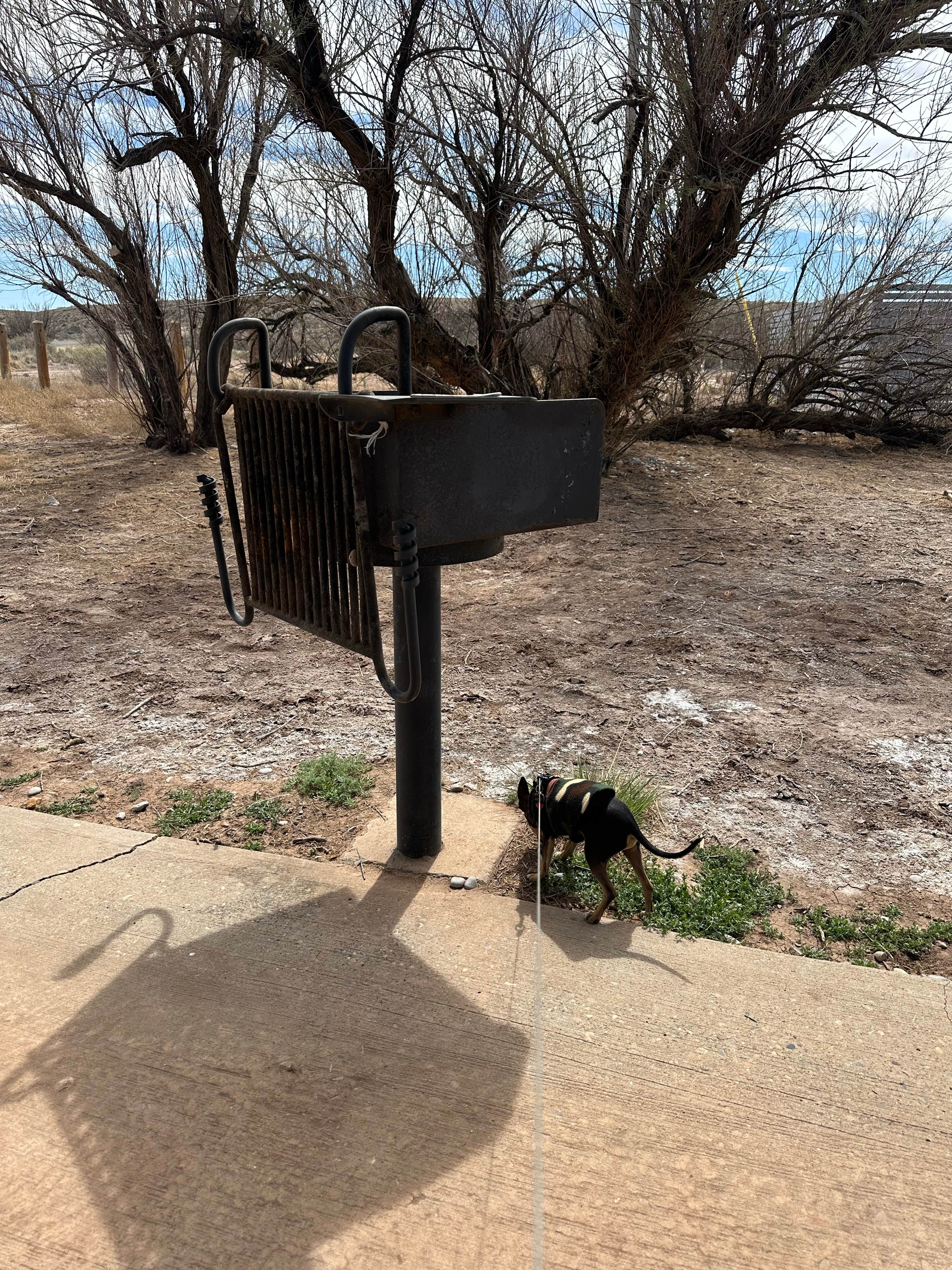 James P.'s photo of camping with pets at Lea Lake Campground — Bottomless Lakes State Park near Artesia, NM