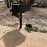 Review photo of Bottomless Lakes State Park Campground by James P., March 14, 2024