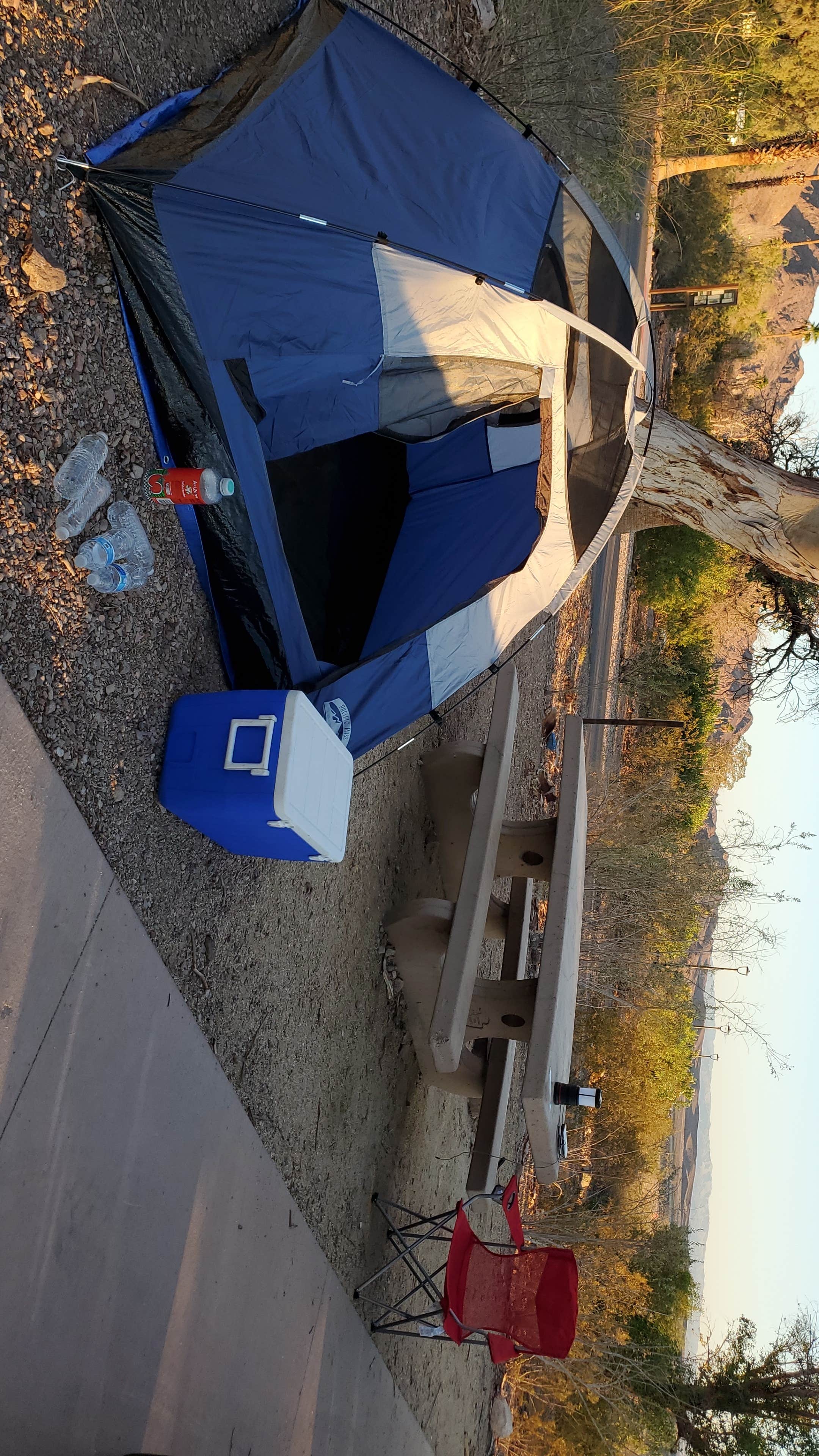 Camper submitted image from Boulder Beach Camp Grounds - 1