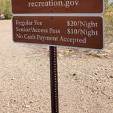 Review photo of Boulder Beach Camp Grounds by DJ Jazzy W., August 10, 2025