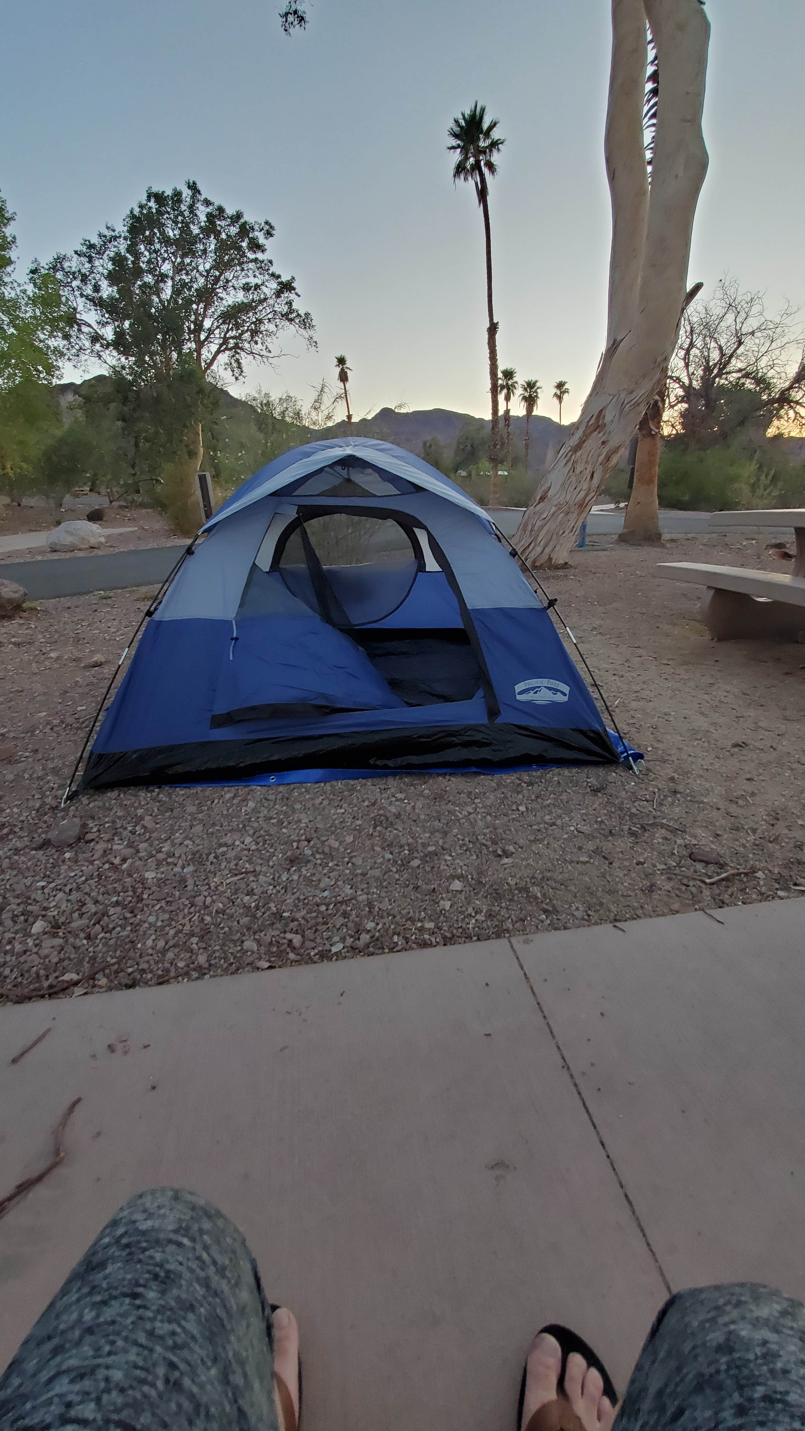 Camper submitted image from Boulder Beach Camp Grounds - 2